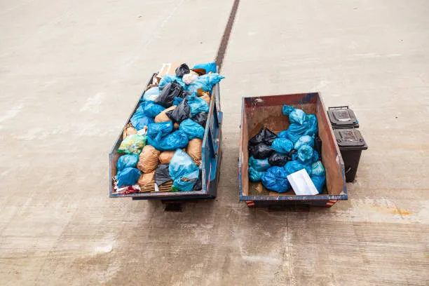 Plogging + Waste-Audit Sprint image 2
