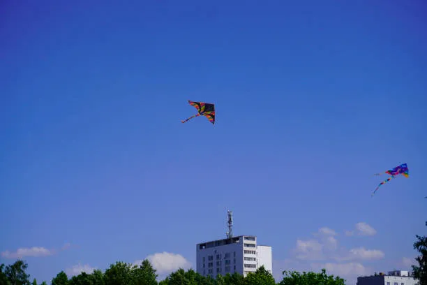 Kite & Kalakhatta image 3