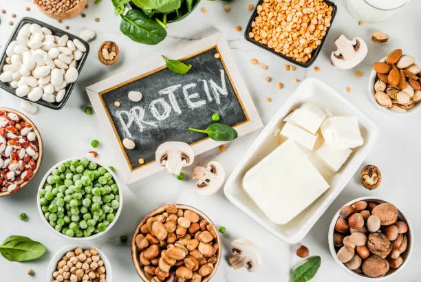 Vegan Protein Playbook image 3