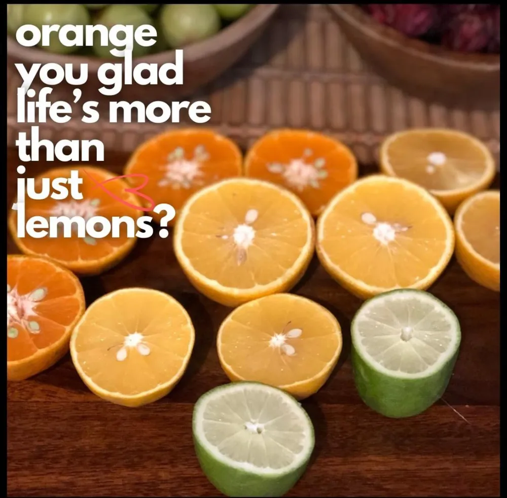 Meghalaya Orange Morning: DIY OJ image 3