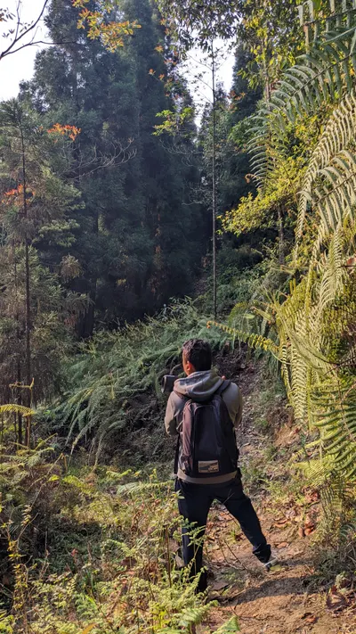 Whispers of Mirik: Dawn with the Himalayan Birds