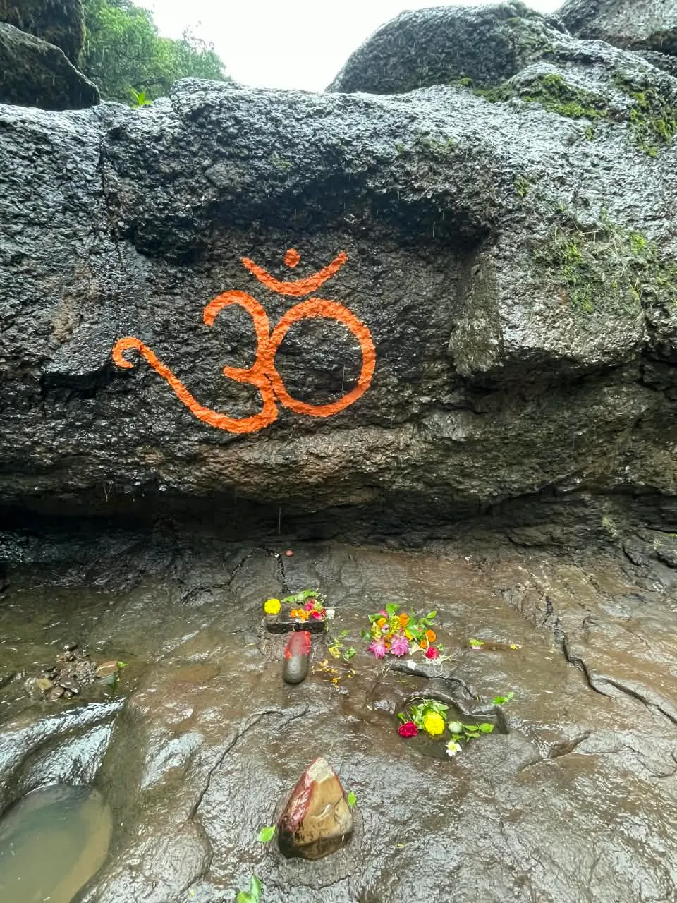 Bhorgiri to Bhimashankar | One Day Easy Trek image 2