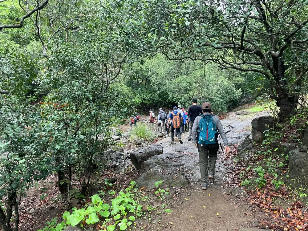 Bhorgiri to Bhimashankar | One Day Easy Trek image 3